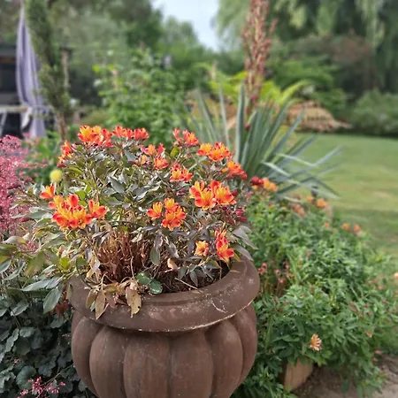 Gæstehus Bergerie De L'iris 3*