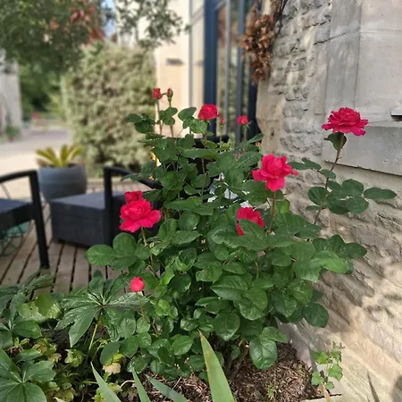 Bergerie De L'iris 3*