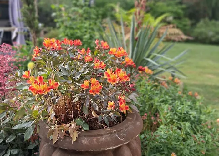 Guest house Bergerie De L'iris 3*