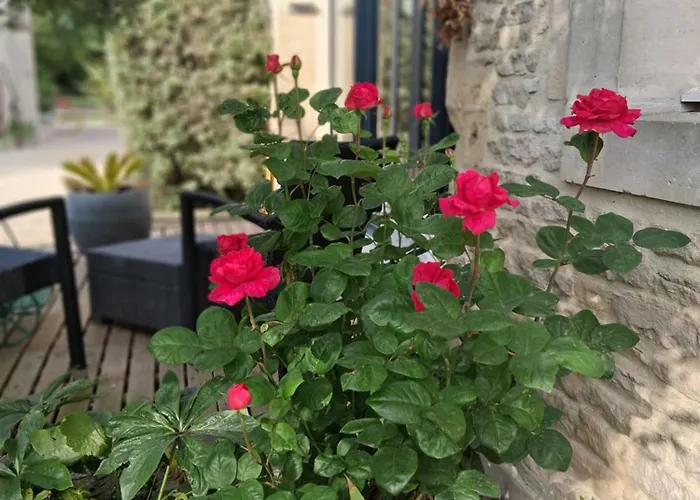 Bergerie De L'iris 3*